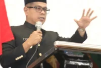 Wakil Bupati Pessel, Risnaldi Ibrahim. (Foto: Dok. Prokopim)