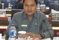 Wakil Ketua DPRD Pessel, Dani Sopian. (Foto: Dok. Dani)