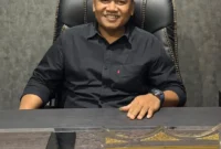 Wakil ketua DPRD Pessel, Dani Sopian. (Foto: Dok. Dani)