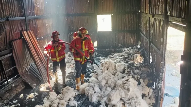 
Petugas Damkar Padang memadamkan api di gudang springbed di Jalan Tui, Kuranji, Senin (2/2/2026). (Foto: Damkar Padang)