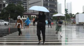 BMKG memprediksi cuaca cerah hingga hujan dengan intensitas sedang terjadi di Jakarta sepanjang hari ini, Rabu (4/2). (Foto: Website Pemprov DKI Jakarta)