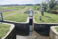 Irigasi Anai II Kota Pariaman akhirnya kembali berfungsi setelah lama tidak mengaliri sawah petani. (Foto: Kominfo Kota Pariaman)