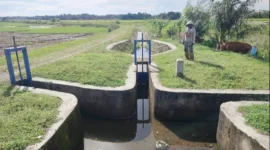 Irigasi Anai II Kota Pariaman akhirnya kembali berfungsi setelah lama tidak mengaliri sawah petani. (Foto: Kominfo Kota Pariaman)