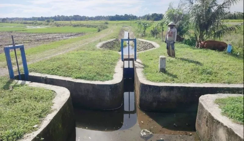 Irigasi Anai II Kota Pariaman akhirnya kembali berfungsi setelah lama tidak mengaliri sawah petani. (Foto: Kominfo Kota Pariaman)