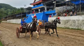 Pacu Bugih tradisi Minangkabau menjadi pembuka event Pacu Kuda Bukit Gombak. (Foto: Prokopim Tanah Datar)