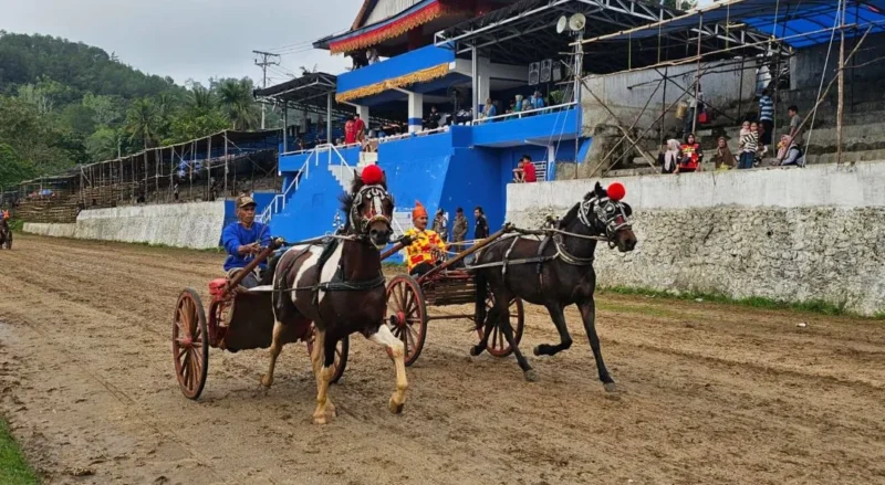 Pacu Bugih tradisi Minangkabau menjadi pembuka event Pacu Kuda Bukit Gombak. (Foto: Prokopim Tanah Datar)