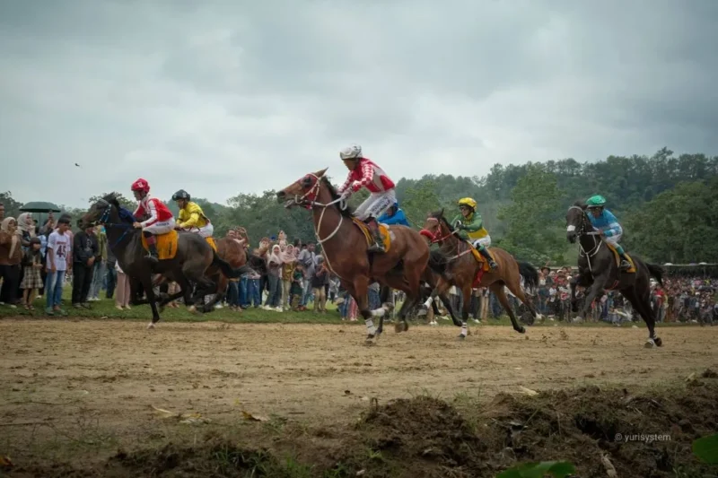 Event Wirabraja Pacu Kuda Open Race dan Tradisional 2026 sukses digelar dan resmi ditutup pada Senin (9/2/2026) sore. (Foto: Prokopim Tanah Datar)