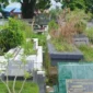 Total tunggakan retribusi makam di tiga TPU Pemko Padang mencapai sekitar Rp1,5 miliar. (Foto: FB Diskominfo Padang)