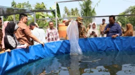 Wali Kota Pariaman Yota Balad menebar benih lele di kolam bioflok Desa Ampalu, Kecamatan Pariaman Utara, Selasa (10/2/2026). (Foto: Kominfo Kota Pariaman)