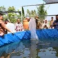 Wali Kota Pariaman Yota Balad menebar benih lele di kolam bioflok Desa Ampalu, Kecamatan Pariaman Utara, Selasa (10/2/2026). (Foto: Kominfo Kota Pariaman)