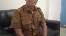 Kepala Dinas Perpustakaan dan Kearsipan Kabupaten Pesisir Selatan, Adril Yesmen. (Foto: Dok. Niks)