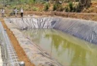 Kementan memperkuat langkah mitigasi kekeringan untuk menjaga produktivitas sektor perkebunan nasional menghadapi musim kemarau. (Foto: Kementan)