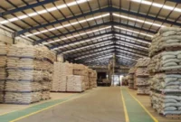 Kementerian Pertanian mencatat penurunan harga beberapa jenis pakan ternak di tingkat produsen pada periode Februari hingga awal Maret 2026. (Foto: Kementan)