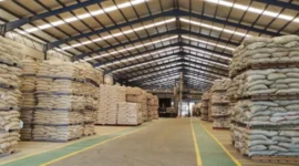 Kementerian Pertanian mencatat penurunan harga beberapa jenis pakan ternak di tingkat produsen pada periode Februari hingga awal Maret 2026. (Foto: Kementan)