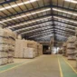 Kementerian Pertanian mencatat penurunan harga beberapa jenis pakan ternak di tingkat produsen pada periode Februari hingga awal Maret 2026. (Foto: Kementan)