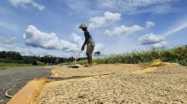 World Food Programme (WFP) memperkirakan hampir 45 juta orang tambahan berpotensi mengalami kelaparan akut pada 2026. (Foto: Kementan)