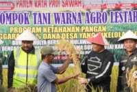 Kementan memastikan ketersediaan pangan nasional dalam kondisi aman seiring berlangsungnya panen raya padi di berbagai wilayah Indonesia pada akhir Maret 2026. (Foto: Kementan)