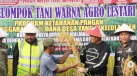Kementan memastikan ketersediaan pangan nasional dalam kondisi aman seiring berlangsungnya panen raya padi di berbagai wilayah Indonesia pada akhir Maret 2026. (Foto: Kementan)