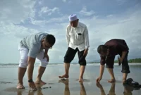 Gubernur Sumbar, Mahyeldi Ansharullah meninjau lokasi di Pantai Parkit, Kelurahan Air Tawar Barat, Kecamatan Padang Utara, Rabu (4/3/2026). (Foto: ADPSB)