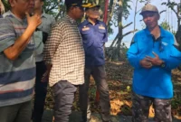 Wakil Bupati Pessel, Risnaldi Ibrahim saat meninjau Pulau Semangki Ketek dan Gadang, Minggu. (Foto: Dok. Zal)