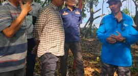 Wakil Bupati Pessel, Risnaldi Ibrahim saat meninjau Pulau Semangki Ketek dan Gadang, Minggu. (Foto: Dok. Zal)