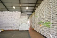 Indonesia mencatat perkembangan pada sektor ketahanan pangan nasional. CBP yang dikelola Perum Bulog mencapai 4,7 juta ton. (Foto: Kementan)