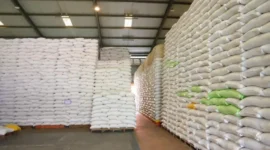 Indonesia mencatat perkembangan pada sektor ketahanan pangan nasional. CBP yang dikelola Perum Bulog mencapai 4,7 juta ton. (Foto: Kementan)