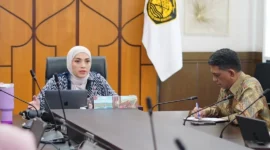 Juru Bicara Kementerian Energi dan Sumber Daya Mineral (ESDM) Dwi Anggia. (Foto: IG @dwi_anggia)
