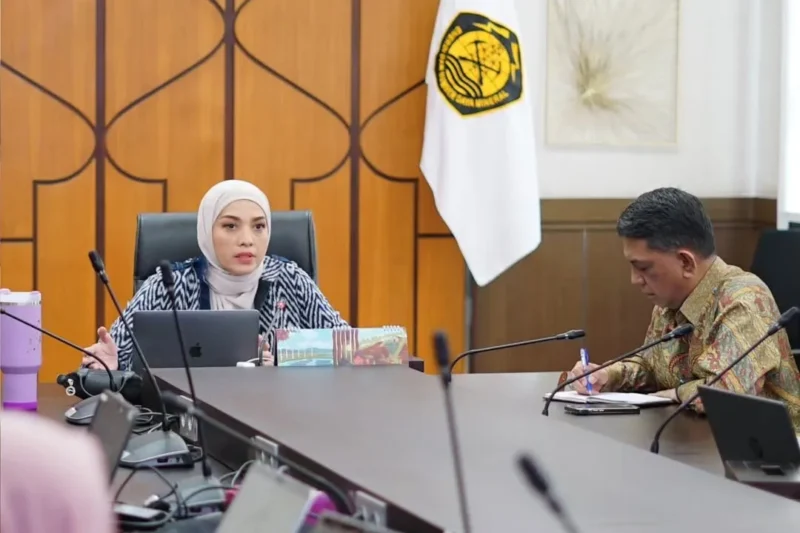 Juru Bicara Kementerian Energi dan Sumber Daya Mineral (ESDM) Dwi Anggia. (Foto: IG @dwi_anggia)