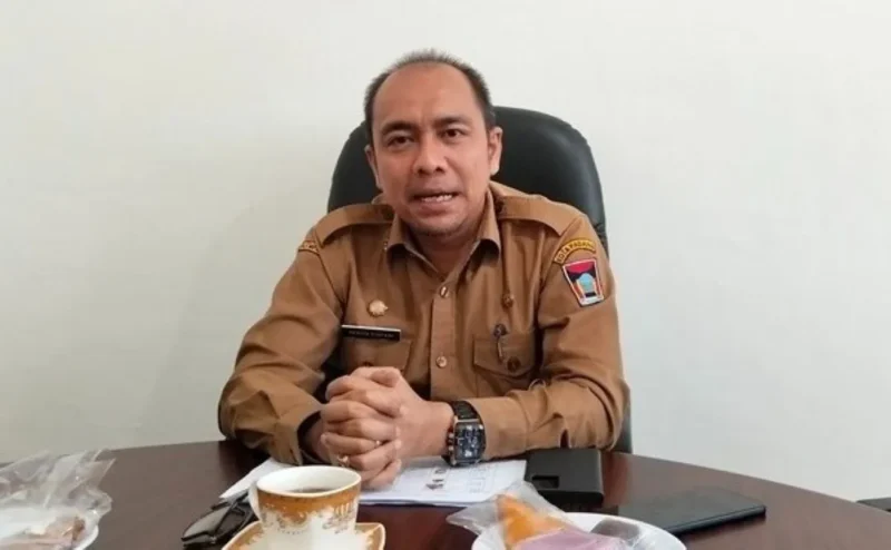 Kepala Dinas Perpustakaan dan Kearsipan Kota Padang, Heriza Syafani. (Foto: Ist)