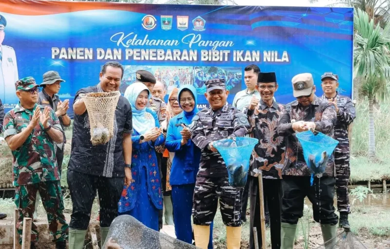 Kodaeral II Padang melakukan panen ikan nila di Desa Kampung Kandang, Kecamatan Pariaman Timur, Kamis (23/4/2026). (Foto: Kominfo Pariaman)