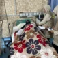 Kemenhaj pastikan layanan kesehatan jemaah haji Madinah siaga 24 jam. (Foto: Kemenhaj)