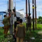 Petugas menertibkan atribut promosi yang dinilai merusak estetika kota di kawasan Kelurahan Aie Pacah, Senin (6/4/2026). (Foto: Diskominfo Padang)