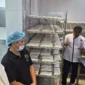 Kemenhaj menerapkan pengawasan ketat dan berlapis pada seluruh proses penyediaan makanan di Madinah. (Foto: Kemenhaj)
