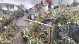 Tim Rescue BPBD Padang bergerak cepat mengevakuasi pohon tumbang, Minggu (5/4/2026). (Foto: BPBD Padang)