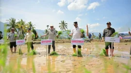 Gubernur Sumbar, Mahyeldi melakukan menanam padi dalam kegiatan tanam serempak 50.000 hektare di Sumbar yang dipusatkan di Nagari Koto Kaciak, Kecamatan Tanjung Raya, Kabupaten Agam, Kamis (30/4/2026). (Foto: ADPSB)