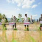 Gubernur Sumbar, Mahyeldi melakukan menanam padi dalam kegiatan tanam serempak 50.000 hektare di Sumbar yang dipusatkan di Nagari Koto Kaciak, Kecamatan Tanjung Raya, Kabupaten Agam, Kamis (30/4/2026). (Foto: ADPSB)