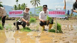 Gubernur Sumbar, Mahyeldi melakukan penanaman padi di Nagari Koto Kaciak, Kecamatan Tanjung Raya, Kabupaten Agam, Kamis (30/4/2026). (Foto: ADPSB)