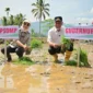 Gubernur Sumbar, Mahyeldi melakukan penanaman padi di Nagari Koto Kaciak, Kecamatan Tanjung Raya, Kabupaten Agam, Kamis (30/4/2026). (Foto: ADPSB)