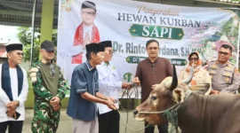 Bupati Kepulauan Mentawai Rinto Wardana menyerahkan bantuan satu ekor sapi kurban kepada pengurus Masjid Al-Furqon di Sikakap, Selasa (27/5/2026). (Foto: Prokopim Mentawai)