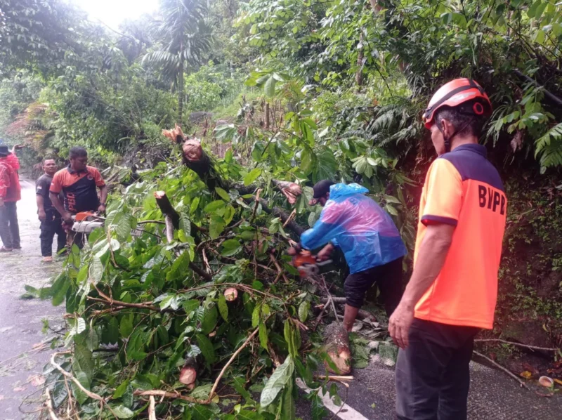 Tim Rescue PB BPBD Padang mengevakuasi material pohon tumbang di Jalan Raya Padang-Painan KM 15, Kelurahan Gates, Kecamatan Lubuk Begalung Nan XX, Jumat sore (15/5/2026). (Foto: FB Diskominfo Padang)