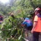 Tim Rescue PB BPBD Padang mengevakuasi material pohon tumbang di Jalan Raya Padang-Painan KM 15, Kelurahan Gates, Kecamatan Lubuk Begalung Nan XX, Jumat sore (15/5/2026). (Foto: FB Diskominfo Padang)