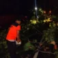 Tim rescue BPBD Padang melakukan penanganan dan pembersihan pohon tumbang di Jalan Padang-Painan, Kamis (21/5/2026). (Foto: BPBD Padang)