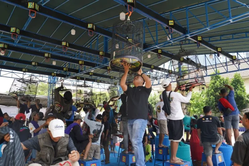 Festival Lomba Burung Berkicau dan Kuliner UMKM” di lapangan parkir kantor Kementerian Perdagangan, Minggu (3/5). (Foto: Kemendag)