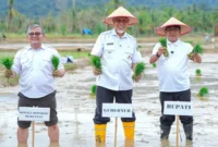 Gubernur Sumatera Barat, Mahyeldi Ansharullah saat kegiatan tanam padi serentak di lahan sawah terdampak bencana di Korong Tanah Taban, Nagari Pasie Laweh Lubuk Alung, Kecamatan Lubuk Alung, Kabupaten Padang Pariaman, Rabu (13/5/2026). (Foto: ADPSB)