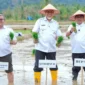 Gubernur Sumatera Barat, Mahyeldi Ansharullah saat kegiatan tanam padi serentak di lahan sawah terdampak bencana di Korong Tanah Taban, Nagari Pasie Laweh Lubuk Alung, Kecamatan Lubuk Alung, Kabupaten Padang Pariaman, Rabu (13/5/2026). (Foto: ADPSB)