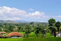 Ilustrasi cuaca cerah berawan. (Foto: Pexels)