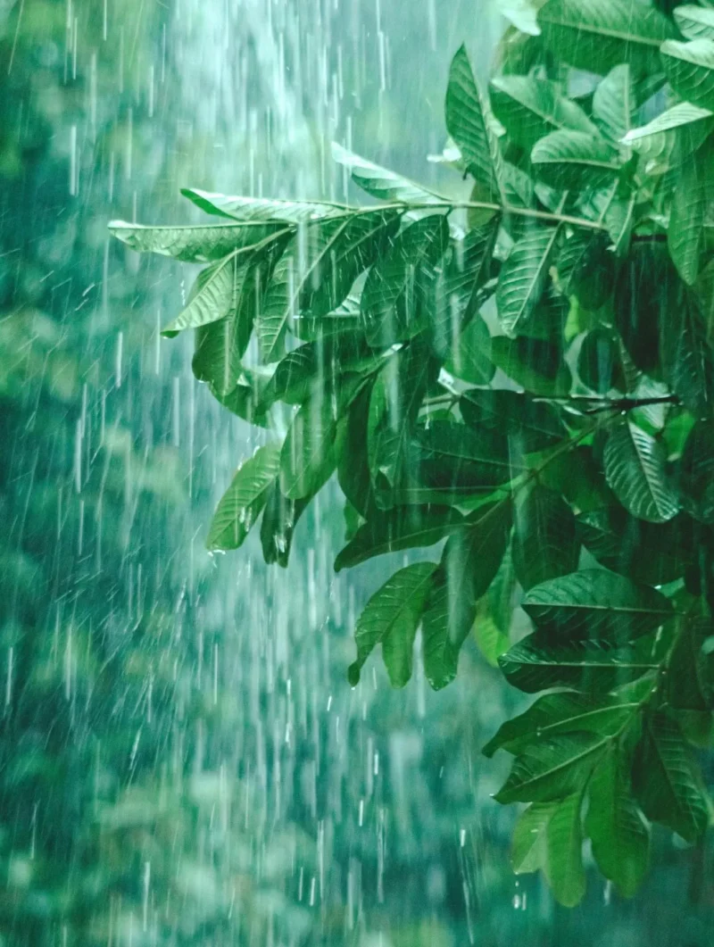 Ilustasi hujan. (Pexels)