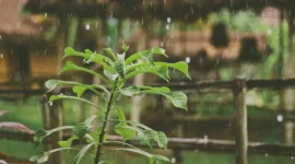 Ilustrasi hujan. (Foto: Unsplash)