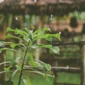 Ilustrasi hujan. (Foto: Unsplash)